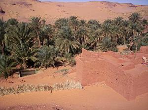 TIMIMOUN DECEMBRE 2004 N074